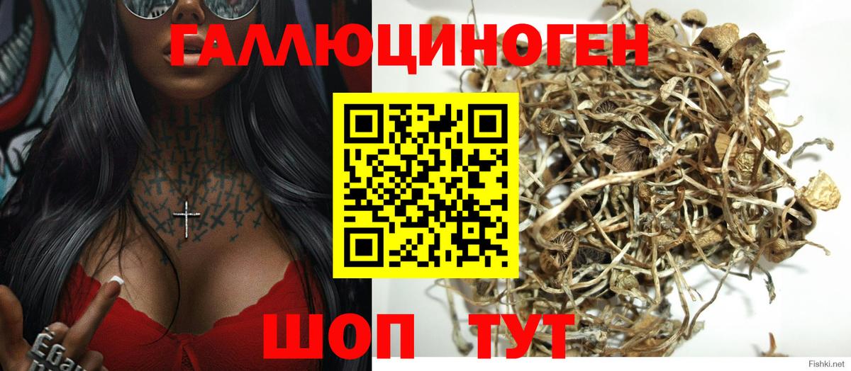 Железногорск  Галлюциногенные грибы Magic Shrooms  Вход с VPN 