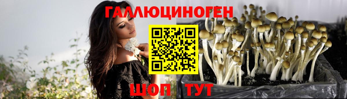 Псилоцибиновые грибы ЛСД Железногорск